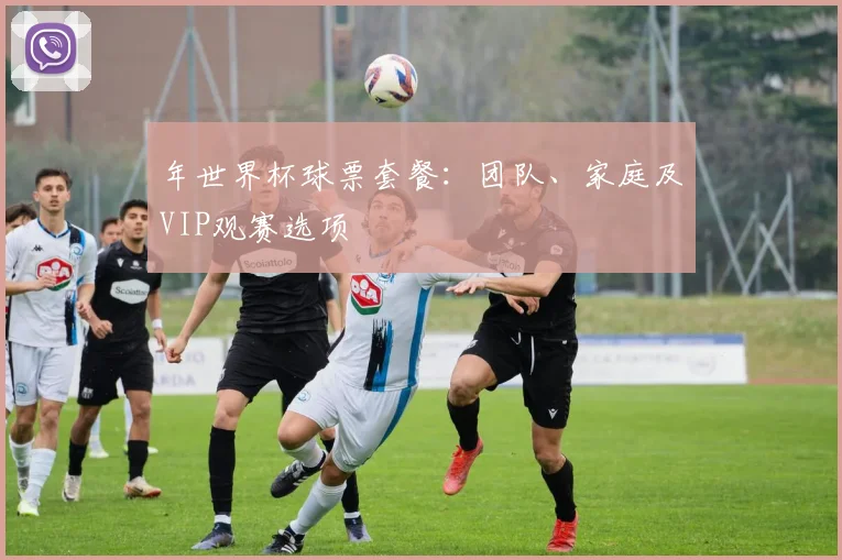 年世界杯球票套餐:团队、家庭及VIP观赛选项
