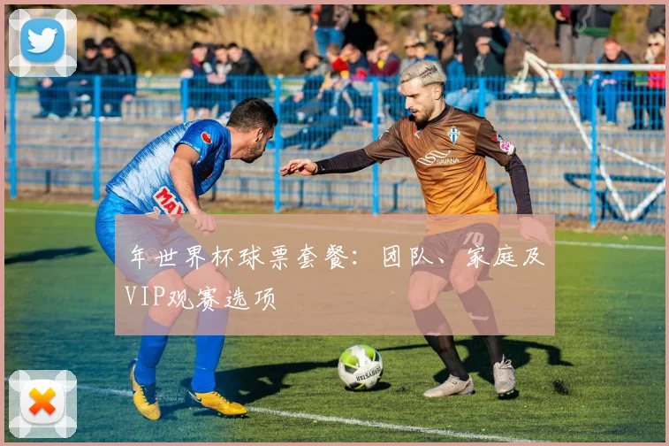 年世界杯球票套餐:团队、家庭及VIP观赛选项