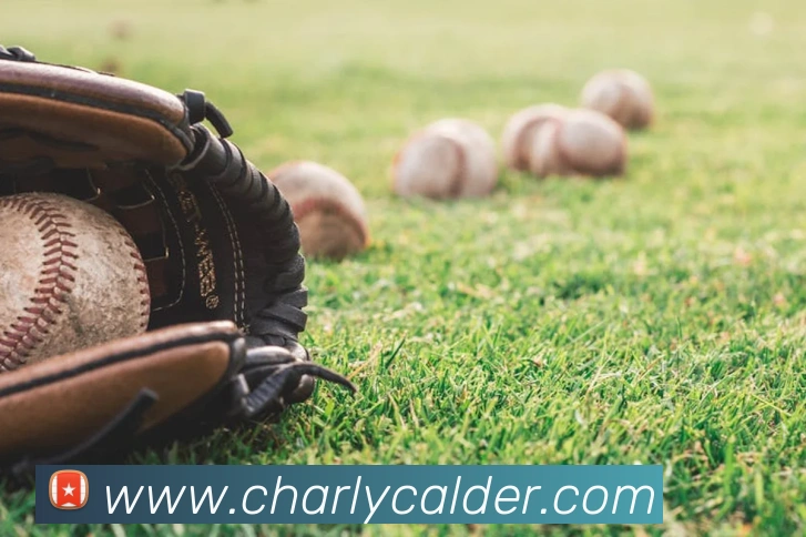 奖项证书